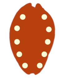 Cowries.fr 